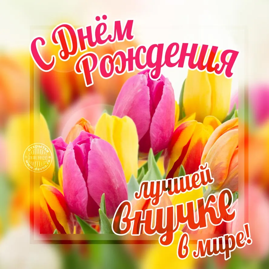 Открытка С Днем рождения внучки - Открытка с тюльпанами: С днем рождения! | Красивая открытка #24