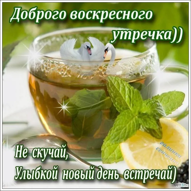 Открытка Открытки на воскресенье - Открытка: Утро в чашке чая, лебедь и фрукты | Красивая открытка #83