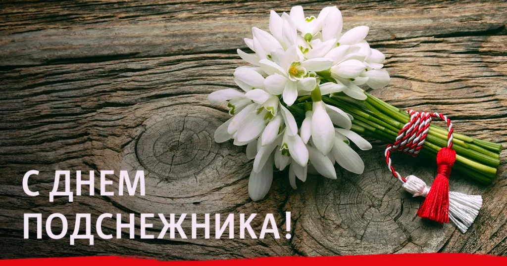 Открытка День подснежника - Подснежники: Открытка с весенними цветами | Красивая открытка #40