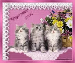 Открытка Открытки хорошего дня - Открытка с котятами и цветами  Праздничная поздравительная открытка | Красивая открытка #249
