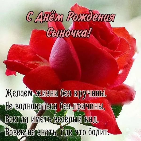 Открытка С днем рождения для сына - Открытка с красными розами: С Днём Рождения! | Красивая открытка #8