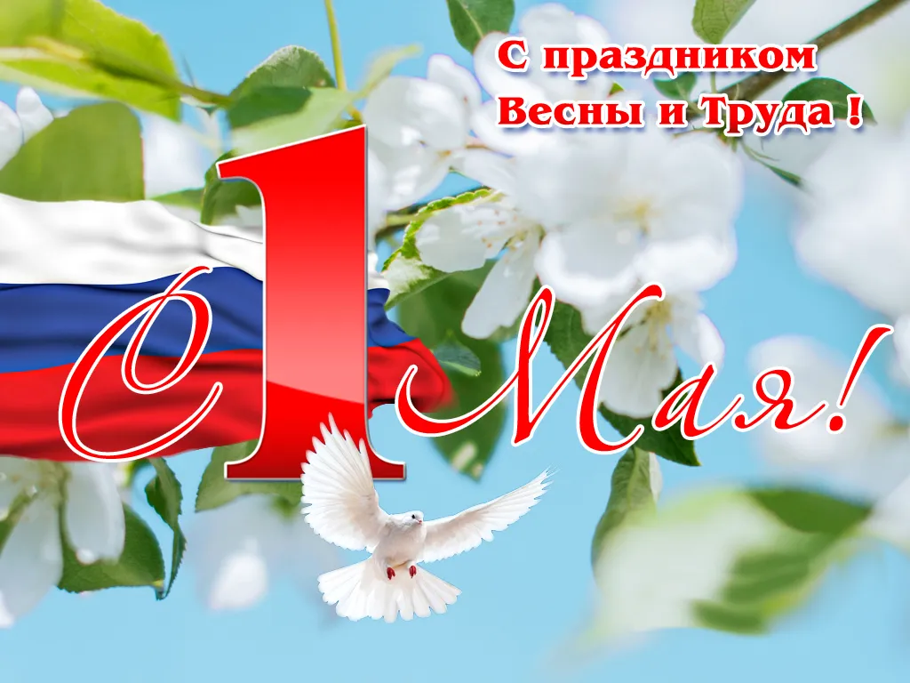 Открытка 1 мая - Открытка ко Дню Победы: Голубь, флаг, цветы | Красивая открытка #201