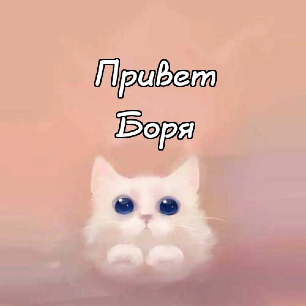 Открытка открытки с именем Борис - Милая кошка: открытка с пушистым котенком | Красивая открытка #108