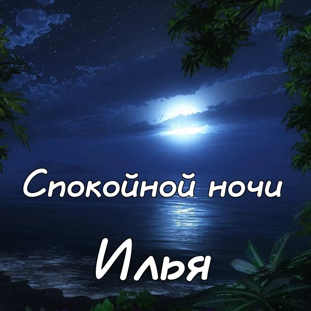Открытка Открытки с именем Илья - Ночная открытка: море, луна, пальмы | Красивая открытка #206
