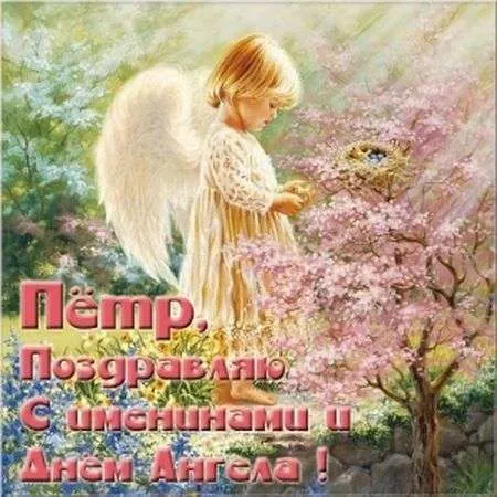 Открытка Открытки с именем Петр - Открытка с ангелом: поздравления с Днем Ангела | Красивая открытка #149