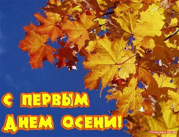 Открытка Первый день осени - С Днём Осени: Красивые осенние открытки с листьями | Красивая открытка #140