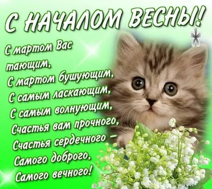 Открытка Первый день весны - С Днём Победы! Открытка с котёнком | Красивая открытка #144