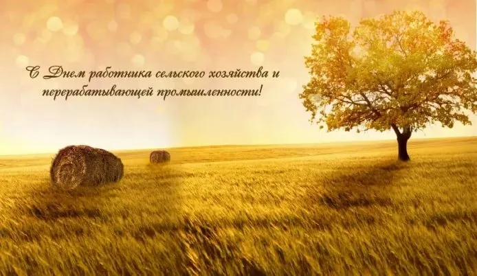 Открытка День работников сельского хозяйства - Пшеничное поле, стога сена, одинокое дерево | Красивая открытка #6