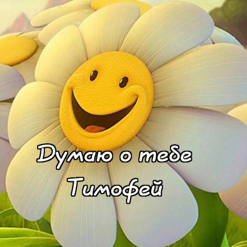Открытка Открытки с именем Тимофей - Открытка с улыбкой: смешное поздравление | Красивая открытка #83