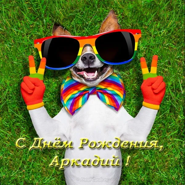 Открытка открытки с именем Аркадий  - Собака в очках и бантике: Открытка с Днем Рождения | Красивая открытка #110