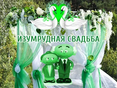 Открытка Открытки на Изумрудную свадьбу 55 лет - Свадебная открытка: Зеленый жених и невеста, цветы | Красивая открытка #18
