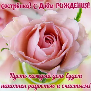 Открытка С Днём рождения родственники - Розовый бутон розы на открытке: С Днем рождения! | Красивая открытка #28