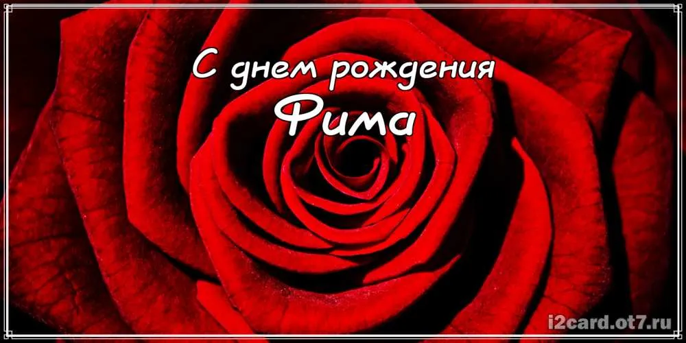Открытка открытки с именем Ефим - Красная роза: поздравление с днем рождения  Открытка | Красивая открытка #133