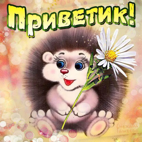 Открытка Привет - Открытка с ежиком и цветком: милая иллюстрация | Красивая открытка #305