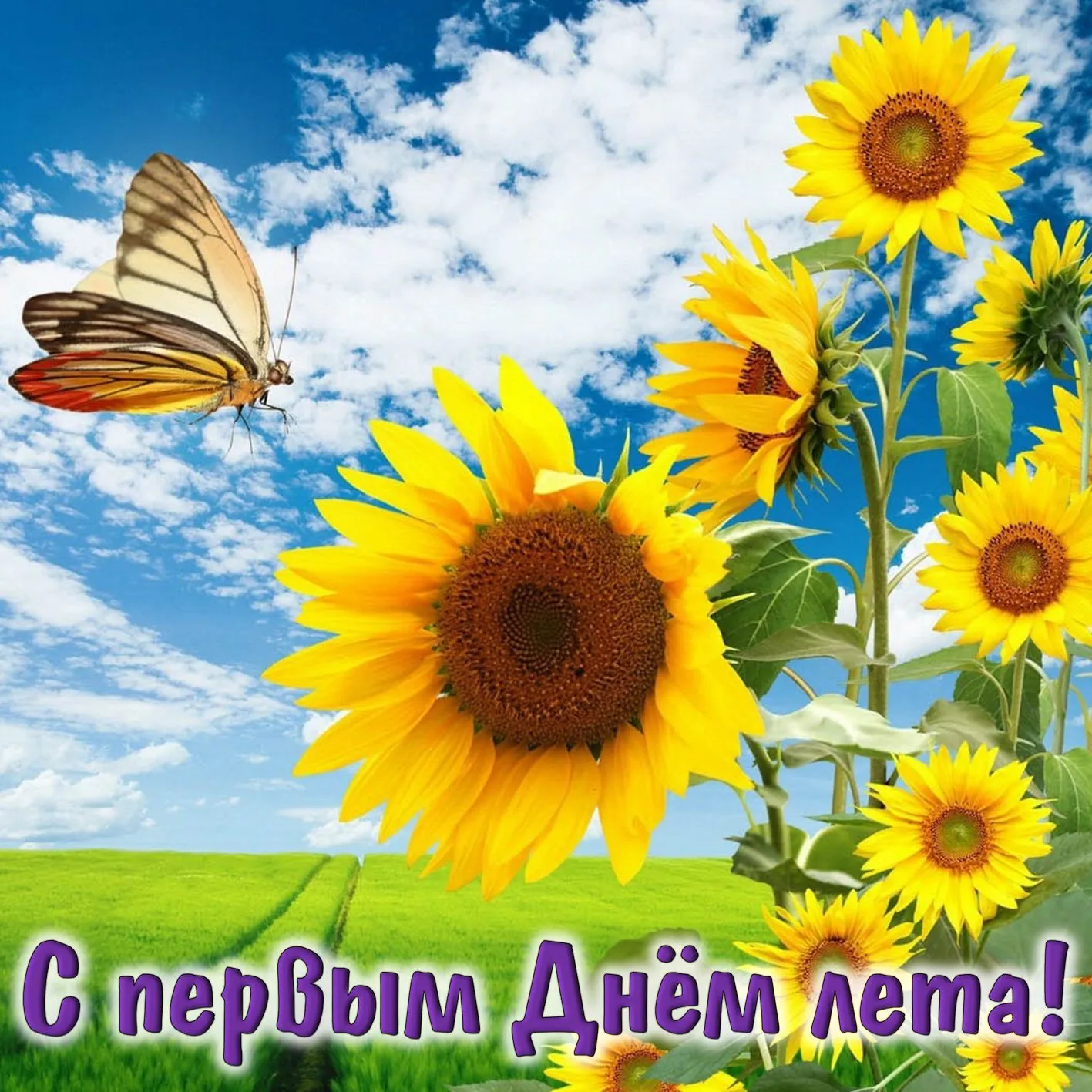 Открытка С первым днём лета - С первым Днём лета! | Красивая открытка #65