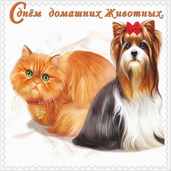 Открытка Открытки на Всемирный день домашних животных - Открытка с рыжим котиком и йоркширским терьером | Красивая открытка #22