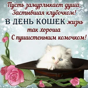 Открытка С Всемирным днём кошек - Котенок в шляпе с розами - открытка | Красивая открытка #72