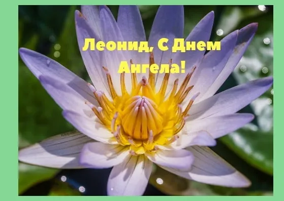 Открытка Открытки с именем Леонид  - Лилии: нежные цветы для поздравлений | Красивая открытка #241
