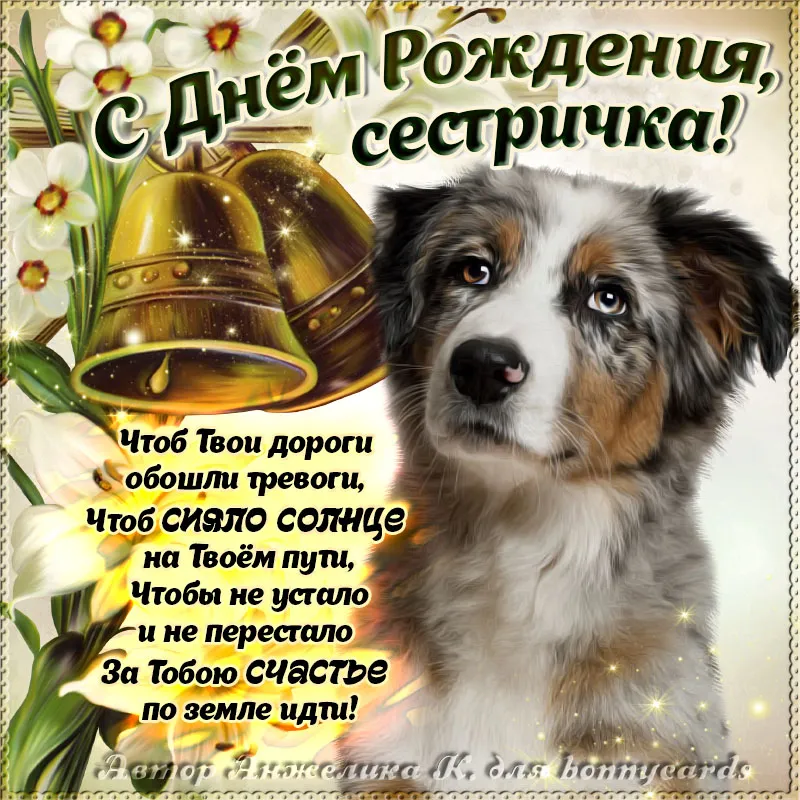 Открытка с днём рождения сестра - С Днём Рождения! Открытка с собакой - BonnyCards | Красивая открытка #54