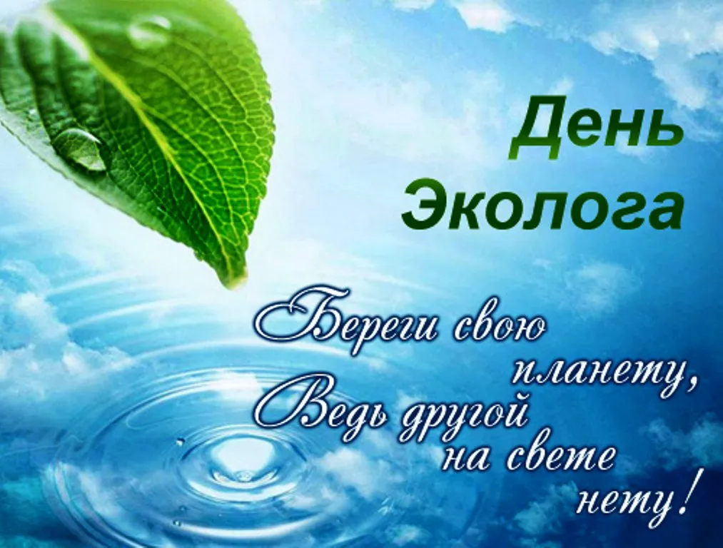 Открытка День эколога - Открытка "День Эколога": Зеленый лист, капля росы | Красивая открытка #69