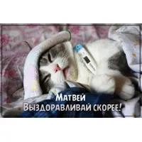 Открытка открытки с именем Матвей  - Кот с градусником: Открытка с поздравлением | Красивая открытка #221