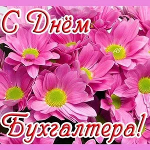 Открытка Открытки с днем бухгалтера - Розовые цветы: поздравительная открытка | Красивая открытка #29