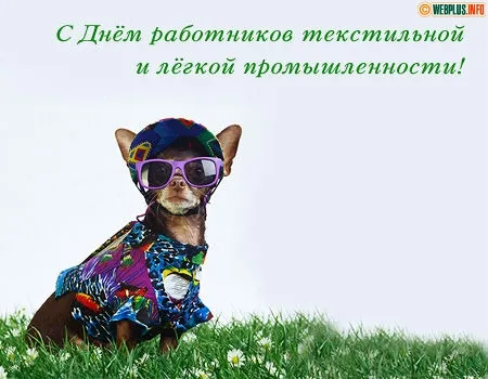 Открытка День работников легкой и текстильной промышленности - Чихуахуа в стильной одежде и очках. | Красивая открытка #9