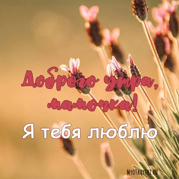 Открытка Открытки доброе утро мама - Я люблю тебя | Красивая открытка #45