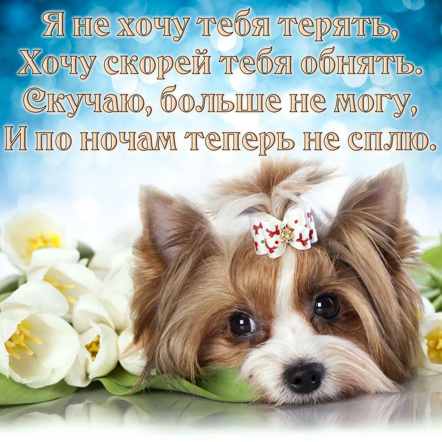 Открытка Скучаю - И. Милые щенки и цветы для поздравительной открытки | Красивая открытка #24