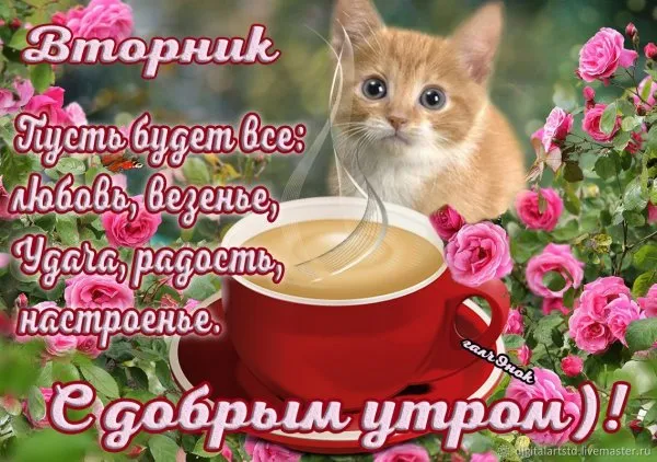 Открытка Открытки на вторник - Открытка с котиком и кофе: Доброе утро! | Красивая открытка #191