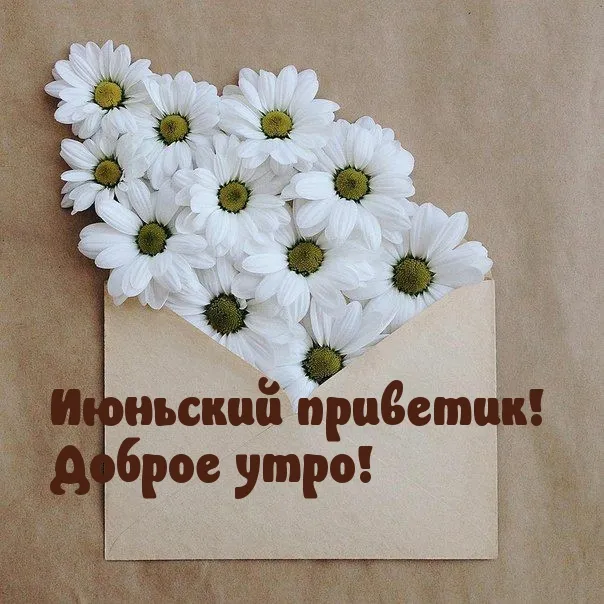 Открытка Июньский - Открытка с ромашками и конвертом | Красивая открытка #5