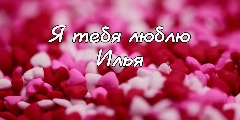 Открытка Открытки с именем Илья - Розовые лепестки роз: открытка с цветами | Красивая открытка #116
