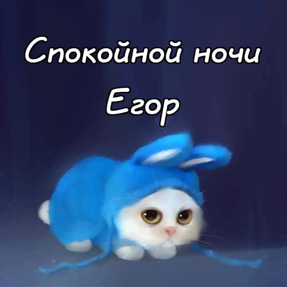 Открытка открытки с именем Егор - Белый котенок в синем капюшоне. Открытка. | Красивая открытка #70