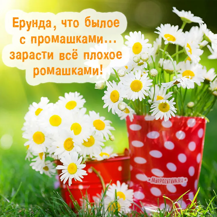 Открытка С ромашками - Открытка с ромашками в красной вазе | Красивая открытка #69