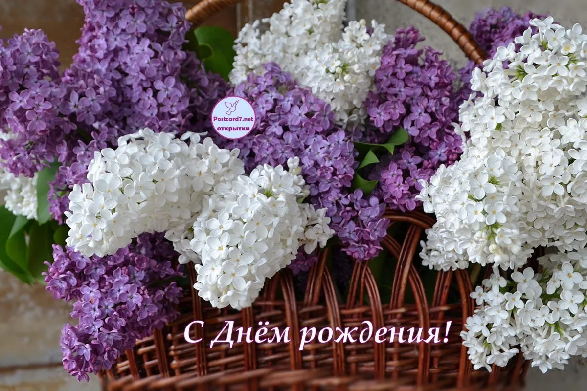 Открытка С сиренью - Открытка с цветущей сиренью в плетёной корзине | Красивая открытка #44