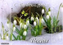 Открытка Первый день весны - Подснежники и бабочка: открытка с весенним пейзажем | Красивая открытка #106
