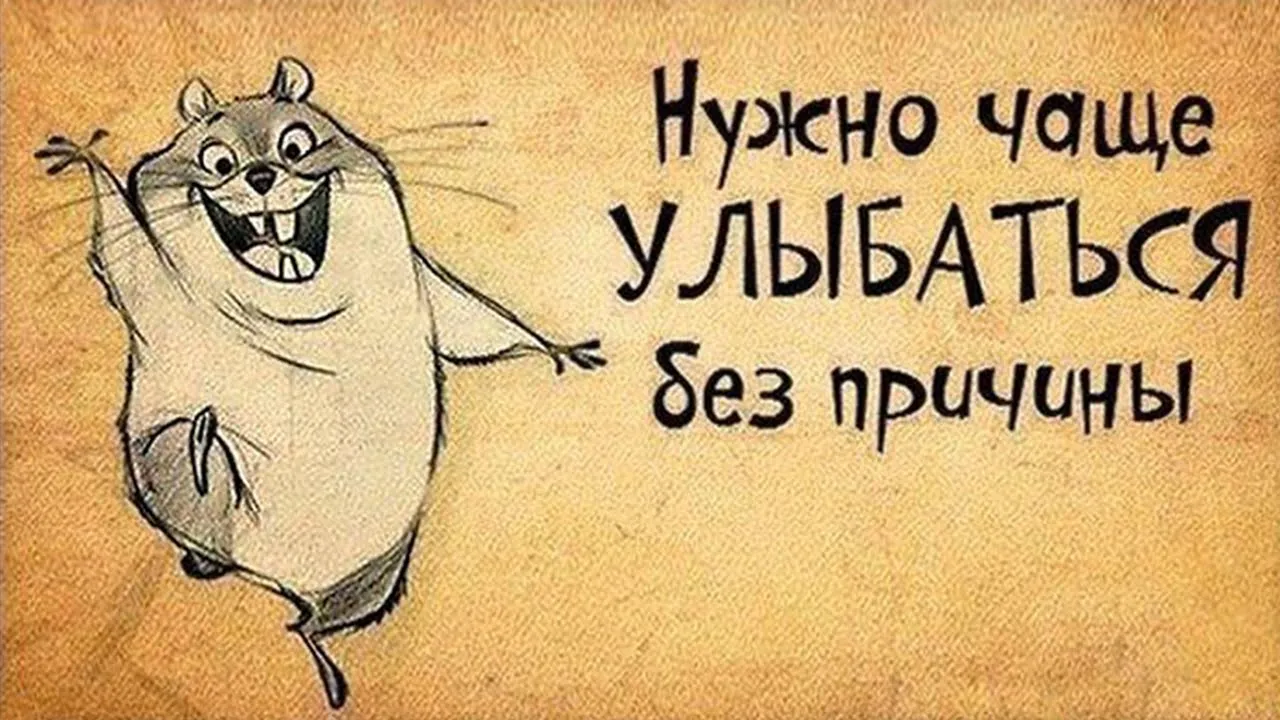 Открытка Улыбнись - Весёлый хомяк: открытка с юмором | Красивая открытка #63
