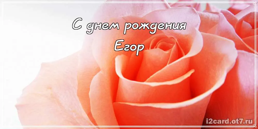 Открытка открытки с именем Егор - Открытка: Розы на День Рождения  Поздравления с Днем рождения | Красивая открытка #176