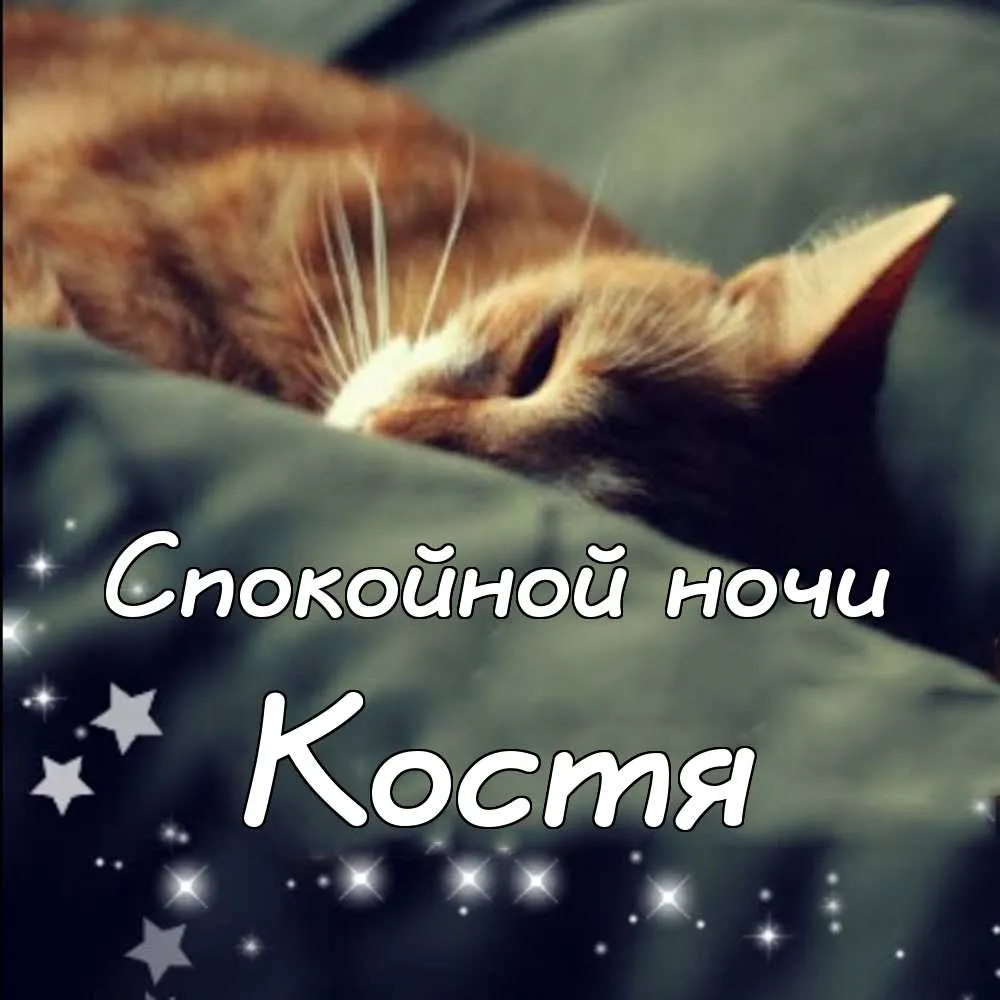 Открытка Открытки с именем Константин  - Котенок спит на одеяле. Открытка с котенком. | Красивая открытка #181