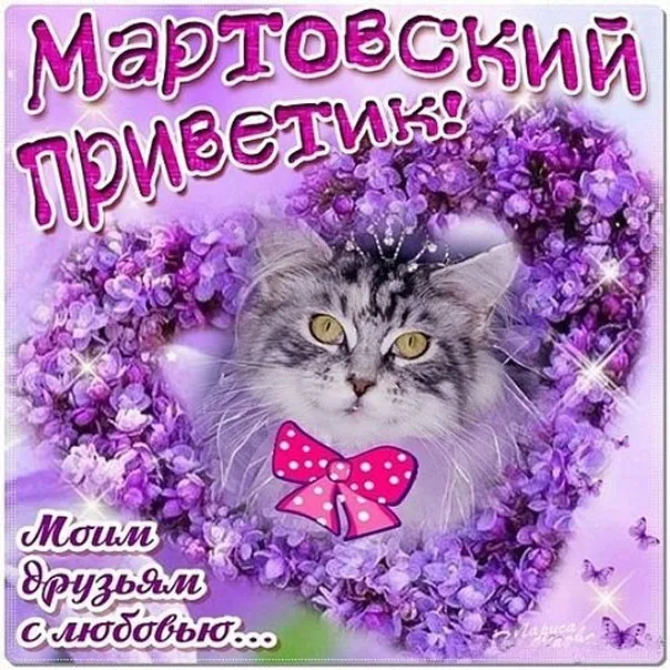 Открытка С сиренью - Открытка с котенком в цветах и бантом. | Красивая открытка #155