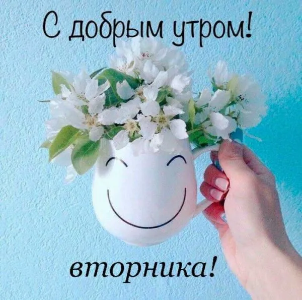 Открытка С вторником - Цветущая ветка в руках на голубом фоне | Красивая открытка #8