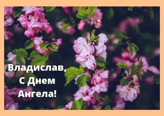 Открытка открытки с именем Владислав  - Цветущая вишня: нежная открытка с днем ангела | Красивая открытка #269