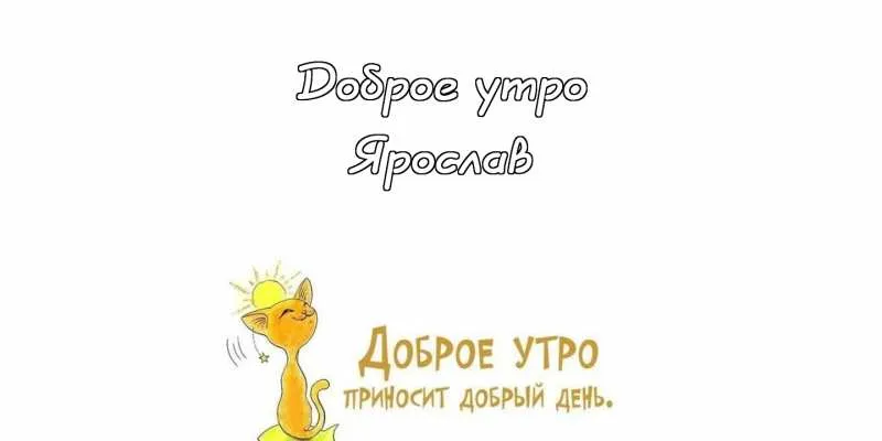 Открытка Открытки с именем Ярослав  - Открытка с котом и солнцем. Доброе утро | Красивая открытка #215