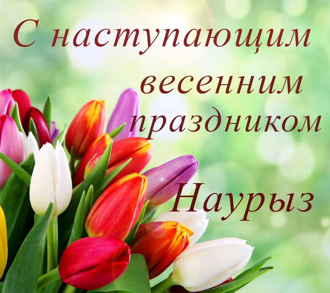 Открытка 22 марта  Наурыз - Букет тюльпанов на открытке. Красные и розовые цветы. | Красивая открытка #25