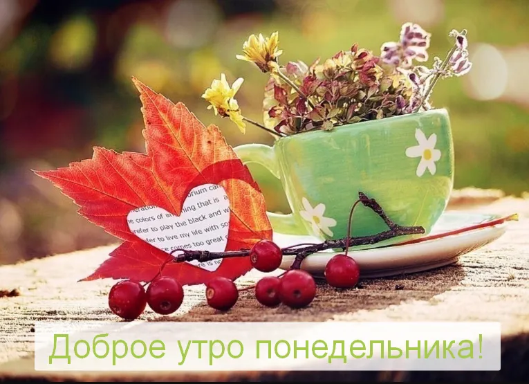 Открытка Доброе утро понедельник - Доброе утро понедельника! | Красивая открытка #29