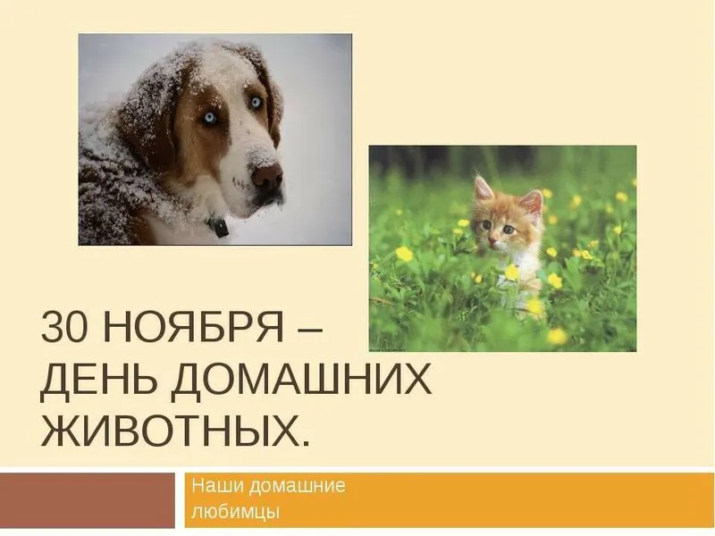 Открытка Открытки на Всемирный день домашних животных - День домашних животных: открытки с собакой и котиком | Красивая открытка #17