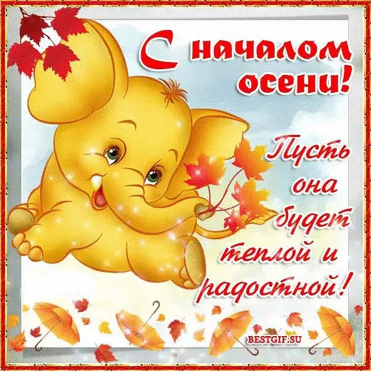Открытка Первый день осени - С Днём Осени! Открытка со слонёнком и листьями | Красивая открытка #72