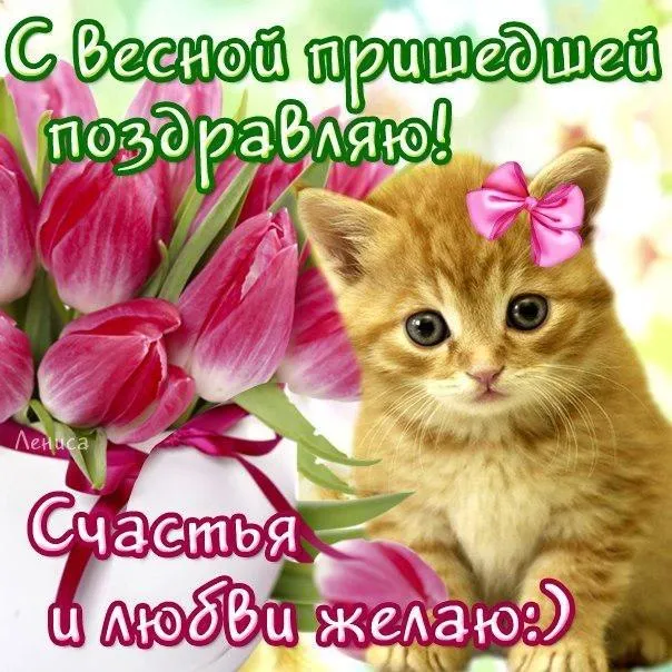 Открытка Первый день весны - Открытка с котенком и цветами: С Днем Рождения! | Красивая открытка #185
