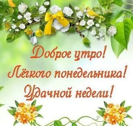 Открытка Дни недели - Открытка с цветами: Доброе утро! Лёгкая понедельника! | Красивая открытка #73