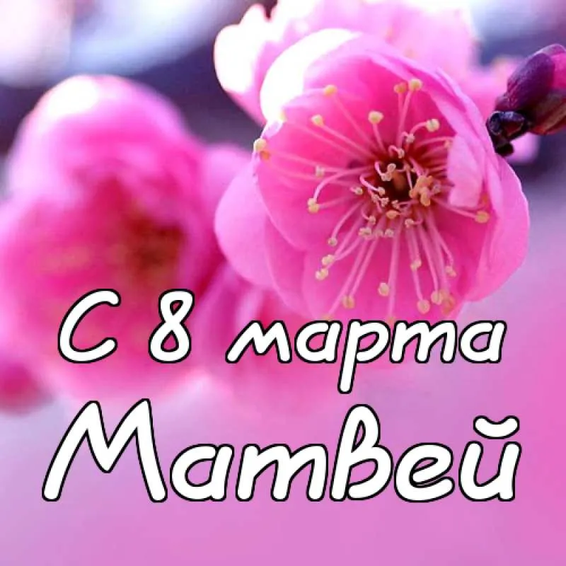 Открытка открытки с именем Матвей  - Цветущая сакура: открытка на 8 марта | Красивая открытка #71